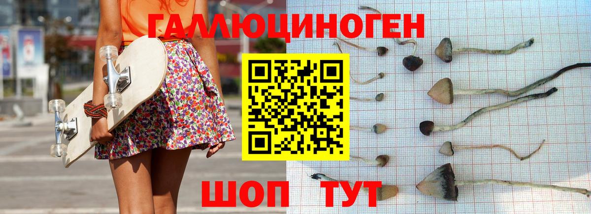 Сафоново  Псилоцибиновые грибы прущие грибы  что такое   Вход с VPN 